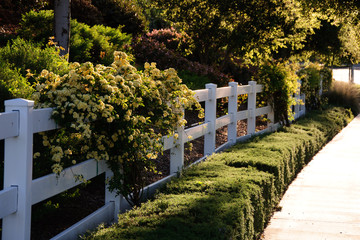 Pedestrian walkway for exercise and walk