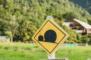 Attention snail. Danger yellow road sign. Slow driver Caution