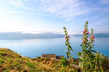 Vue panoramique sur le lac de Sainte Croix depuis le village de Sainte Croix du Verdon. Provence, France. Fleurs de malva au premier plan. Brume du matin. - obrazy, fototapety, plakaty