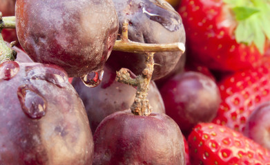Grapes and fruit