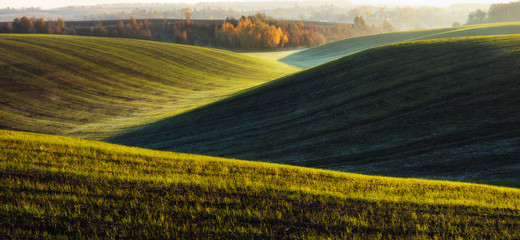 Fototapeta premium Hilly field. Autumn dawn in the field. Quiet morning in a picturesque field