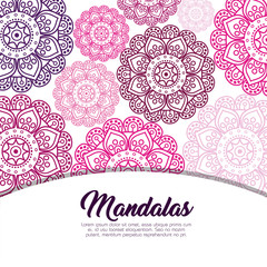 color mandala pattern background vector illustration design