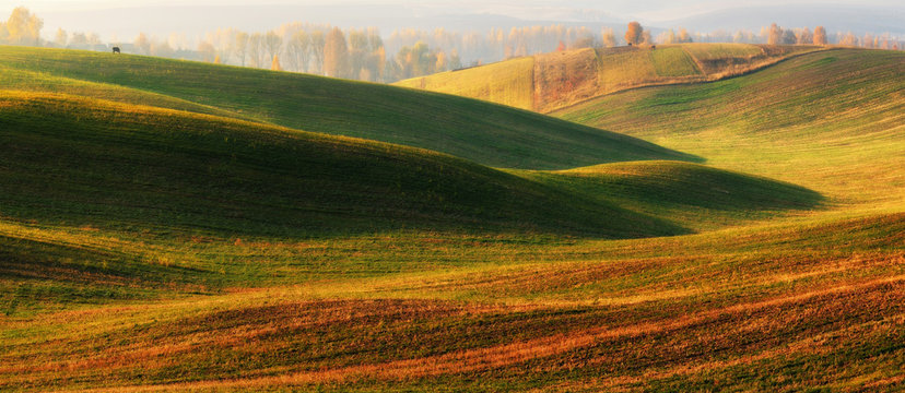 Hilly field. Autumn dawn in the field. Quiet morning in a picturesque field © sergnester
