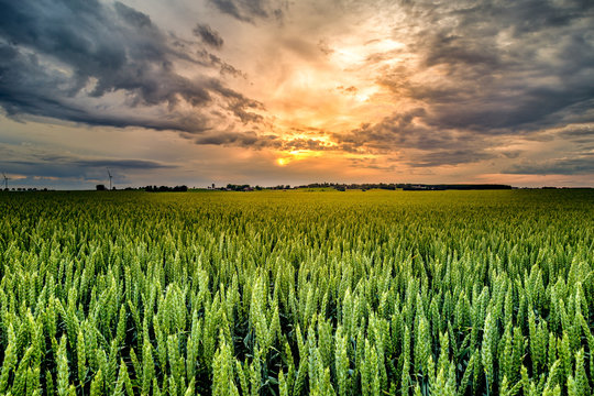 strong sun behind storm clouds with a field in the foreground