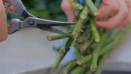 Professional floral artist, florist cutting flower stems at flower shop, workshop. Floristry, handmade and small business concept - Powered by Adobe