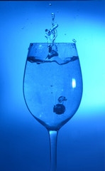 Splash photography wine glass