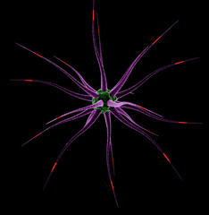 Neural cell, cell, living organism, neuron, 3d render