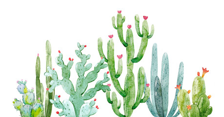 Watercolor cactus composition © zenina