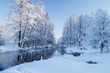 Winter landscape with river in wood