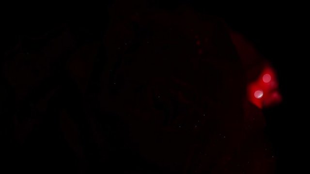 un rosa sotto sotto una luce diretta sfumando nel nero