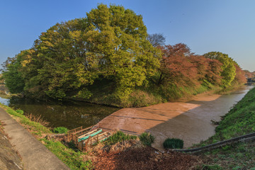 春の朝の山形城跡の水堀の風景