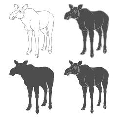 Set of black and white images with a moose. Isolated objects on white background.