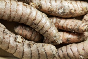 Macro photo of curcuma roots