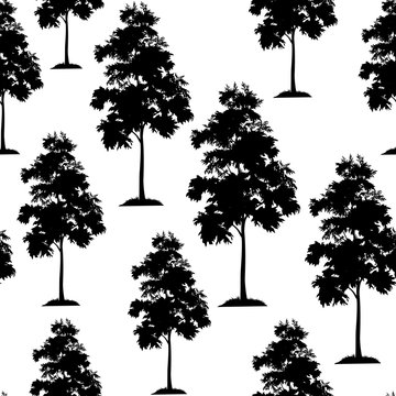 Seamless Pattern, Acacia Tree, Black Silhouette Isolated on Tile White Background. Vector