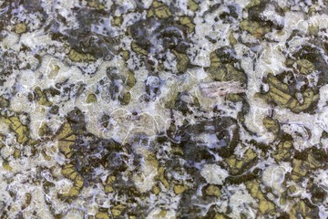  Ice crystals on a green surface