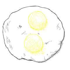 Fried egg vector illustration