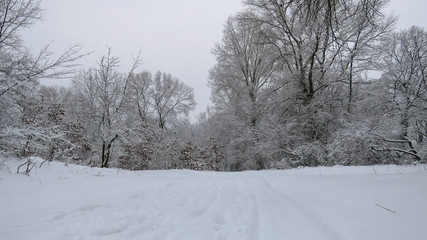 Snow winter landscape