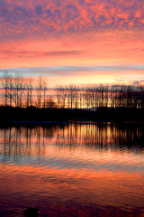 Amanecer en Salburua - 05