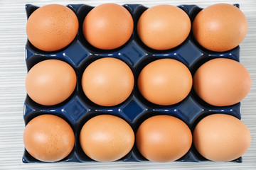 Holder with chicken eggs on light table