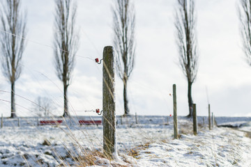 wooden post with red isolator in the winter season