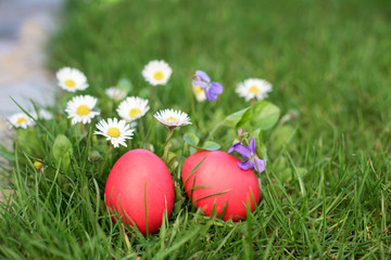 Fototapeta na wymiar Two red Easter eggs and flowers