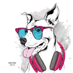 The poster of the dog portrait in hip-hop hat and with headphones. Vector illustration. - 192457110