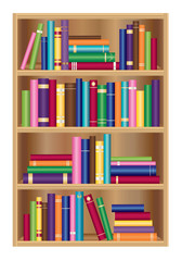 Bookshelf with books vector