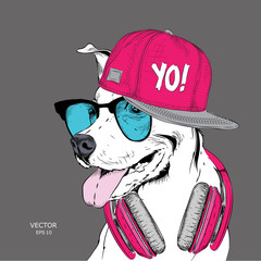 The image of the dog in the glasses, headphones and in hip-hop hat. Vector illustration. - 192457903
