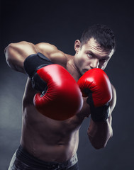 Red boxing gloves - 192458188