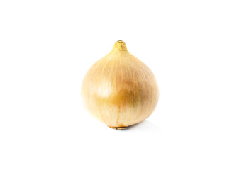 Fototapeta premium onion isolate on white background
