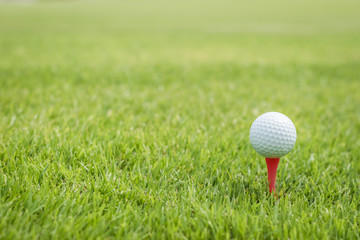 Golf ball on red tee start on green grass course lawn field park nature background with empty copy space