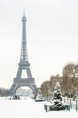 Winter in Paris in the snow. The Eiffel tower seen from the Champ de Mars with lawn and fir trees covered in snow in the foreground.