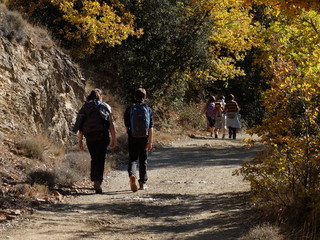 Randonnée solidaire avec des personnes en handicap