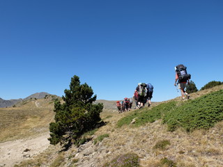 Randonn&eacute;e solidaire