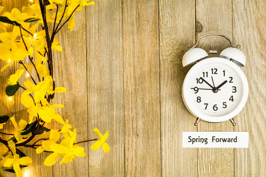 Daylight Savings Time Spring Forward concept top down view with white clock and yellow forsythia flowers on wooden board