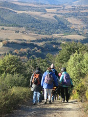 randonnée solidaire avec des personne en situation de handicap