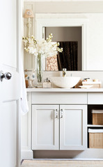 Fototapeta premium classic white bathroom and decorative mirror and vase of plant. classic cupboard and white door.