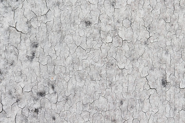 white concrete wall texture