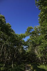 林道　愛冠岬