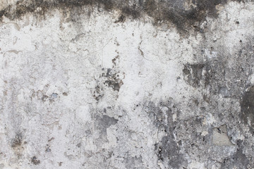 Obraz premium white concrete wall texture