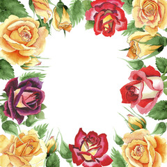 Wildflower yellow tea-hybrid roses flower frame in a watercolor style. Full name of the plant:  rose, hulthemia, rosa. Aquarelle wild flower for background, texture, wrapper pattern, frame or border.