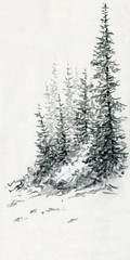 Fototapeta premium Winter landscape