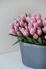 Big bunch of fresh cut tulips on white background.