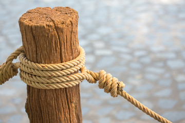 Close up rope tied on wood stump.