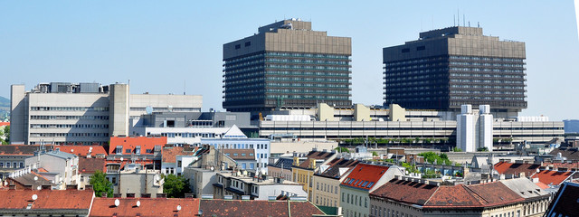 Krankenhaus in Wien, AKH