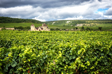 Fototapeta na wymiar Burgundy, many chateau (castle) are surrounded by many acres of vineyards and are great wine producers. France.