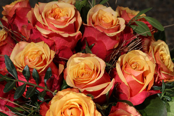 A Bouquet of wonderful Cherry Brandy Roses 