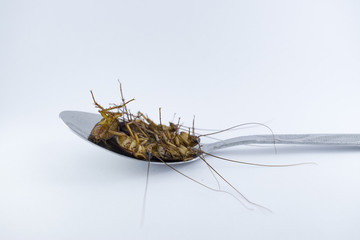 The dead cockroaches in a spoon on a white background.
