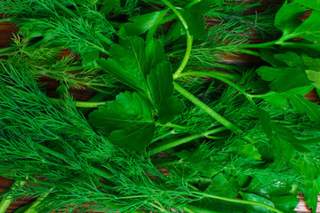 fresh bio parsley with dill
