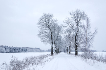 Fototapeta na wymiar WINTER - Fields and road covered with snow